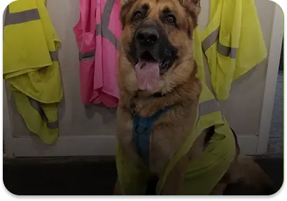 Are passionate about safety